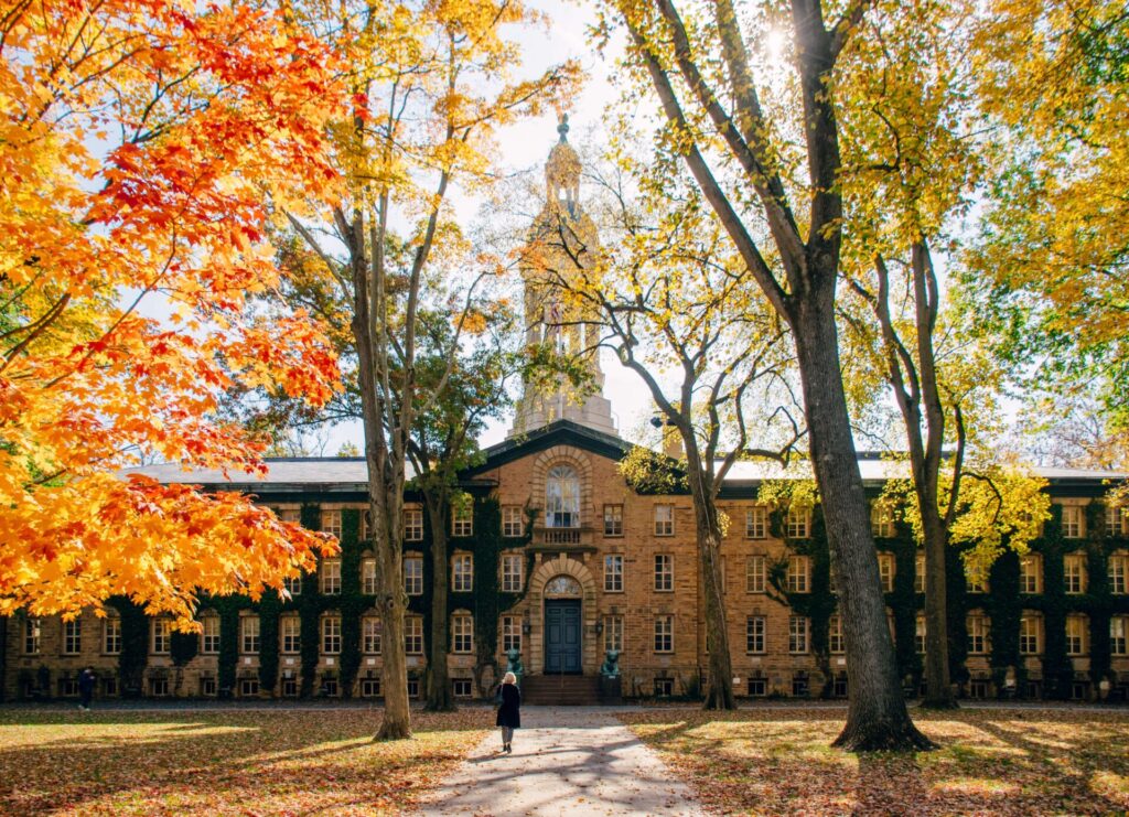 ivy league fakultet princeton